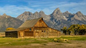 Investir dans une ferme animale : comment réaliser un diagnostic efficace